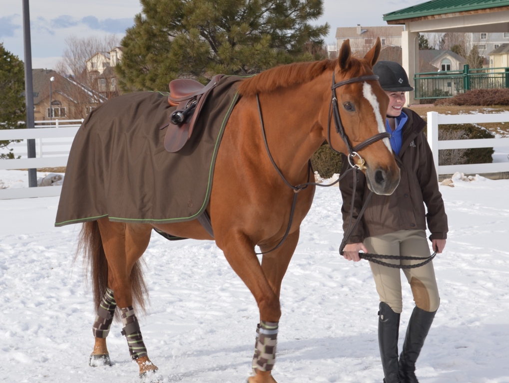 EOUS Reversible Quarter Sheet Equisupplies, LLC